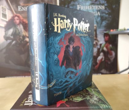Harry Potter rekommenderas till alla nya läsare som vill börja läsa fantasy